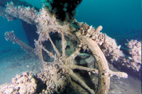 Подводные сокровища Крыма защитят законом