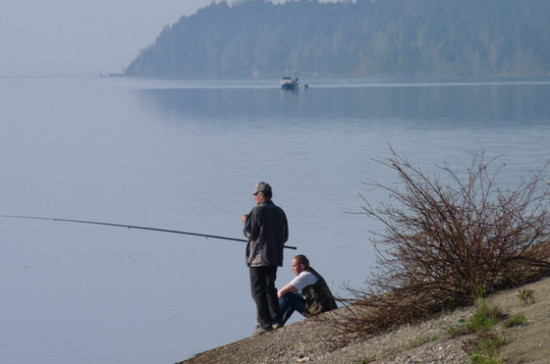 В лесу могут разрешить рыбачить