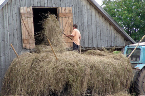 Глава аграрного Комитета Госдумы просит Путина направить 100 млрд рублей на кредитование аграриев
