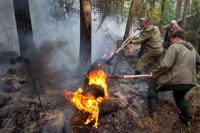   В России опять горят леса — пока только на Дальнем Востоке