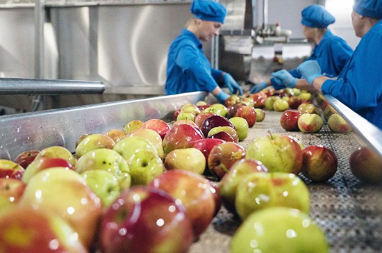 Забудьте об импорте продуктов: Россия будет их экспортёром