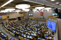 Депутаты внесли доработанный законопроект об отзыве гражданства у осуждённых за терроризм