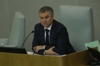Вячеслав Володин призвал не затягивать рассмотрение законопроекта о детском отдыхе 