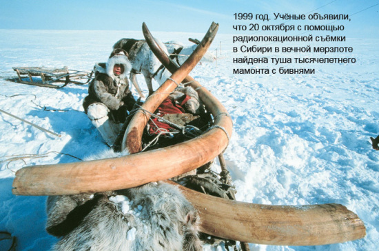 Криминальный бизнес на костях&hellip; мамонта