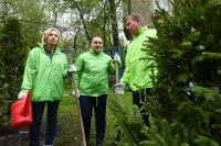 Ольга Тимофеева, Елена Серова и Антон Кульбачевский после посадки ели