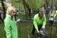 Ольга Тимофеева и глава департамента природопользования Москвы Антон Кульбачевский в процессе работы