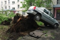 Жертвами урагана в Москве стали шесть человек