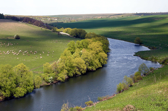 Заявление на получение &laquo;дальневосточного гектара&raquo; можно будет подать в МФЦ