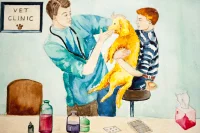 Ветеринар. Аль Верр Мона, 10 лет, Катар