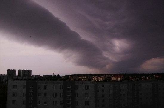 Пучков предложил ввести ответственность для синоптиков за ошибочный прогноз погоды