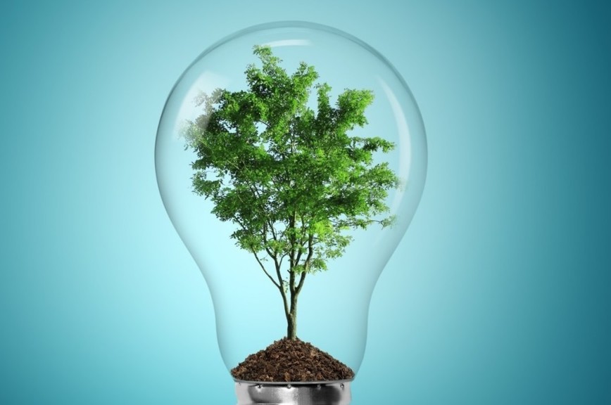 Россия разрабатывает проекты по продвижению «зелёной экономики» &mdash; Минтруд