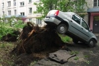 Число погибших при урагане в Москве увеличилось до 17 человек