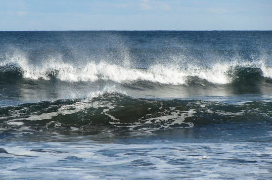 Вспомним всех поименно
