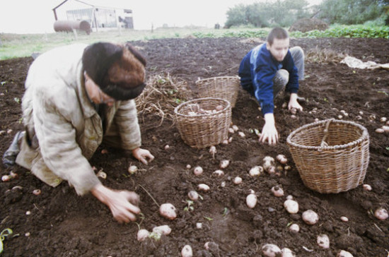 Андрей Туманов рассказал, как выстроить эффективную систему работы аграриев