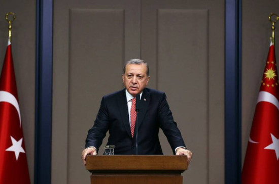 Эрдоган выразил желание выступить перед соотечественниками во время G20 