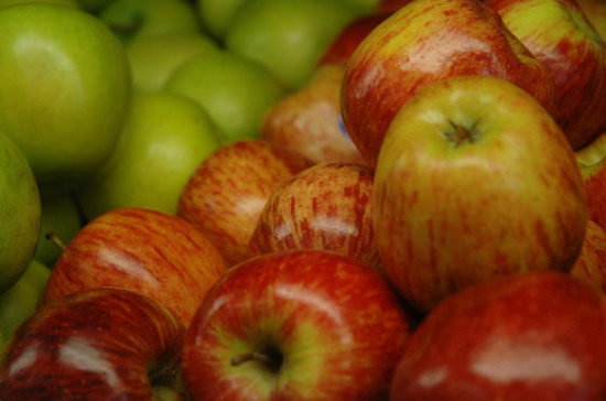 Россия разрешила импорт плодоовощной продукции из Молдавии через все таможенные посты РФ — Додон