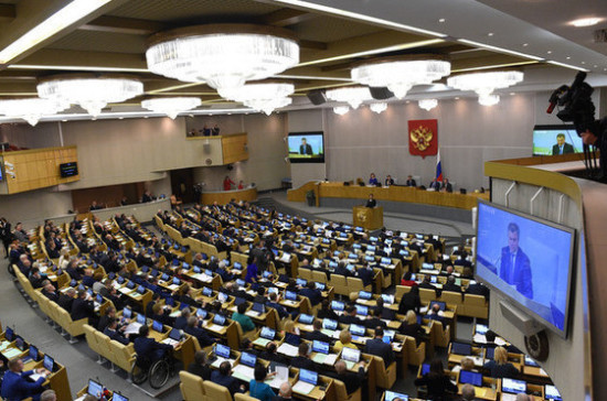 Савастьянова предложила сделать «правительственные часы» в Госдуме тематическими