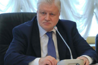 Миронов назвал правильным решение суда арестовать обвиняемую в балашихинском ДТП 