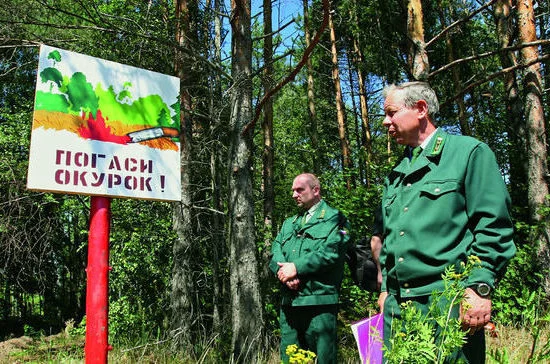 На миллион гектаров тайги приходится всего один лесной инспектор вместо 44 /  Фото PhotoXPress
