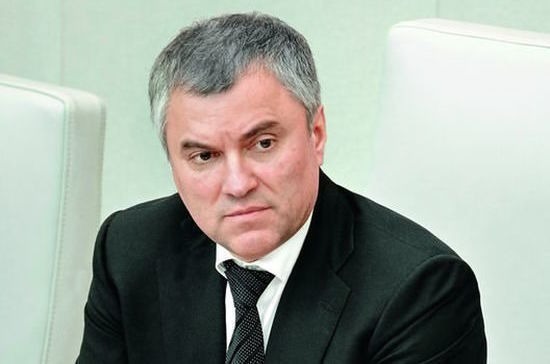 Вячеслав Володин обратил внимание Минфина на необходимость регулирования вопросов интернет-торговли