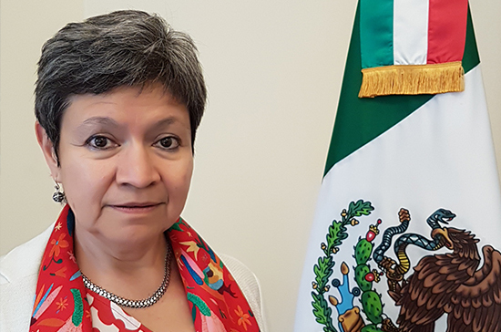 Посол Мексики в РФ: Мехико заинтересован в наращивании взаимодействия с Москвой