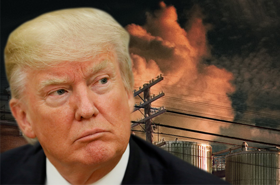 Владимир Путин высказался о работе Трампа на посту президента США