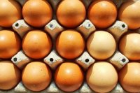 Россия никогда не импортировала заражённые яйца из Евросоюза — Россельхознадзор
