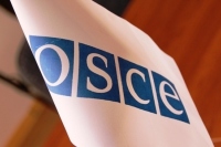В ОБСЕ раскритиковали депортацию корреспондента ВГТРК с Украины