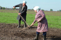 СМИ: российским фермерам возместят затраты на продвижение продукции