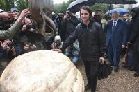 Александр Чусов, вырастивший тыкву-рекордсменку, не собирается останавливаться на достигнутом