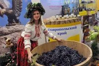 Ставропольский край - один из ведущих регионов промышленного виноградарства в России