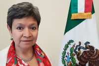 Посол Мексики в РФ: две страны будут наращивать товарооборот