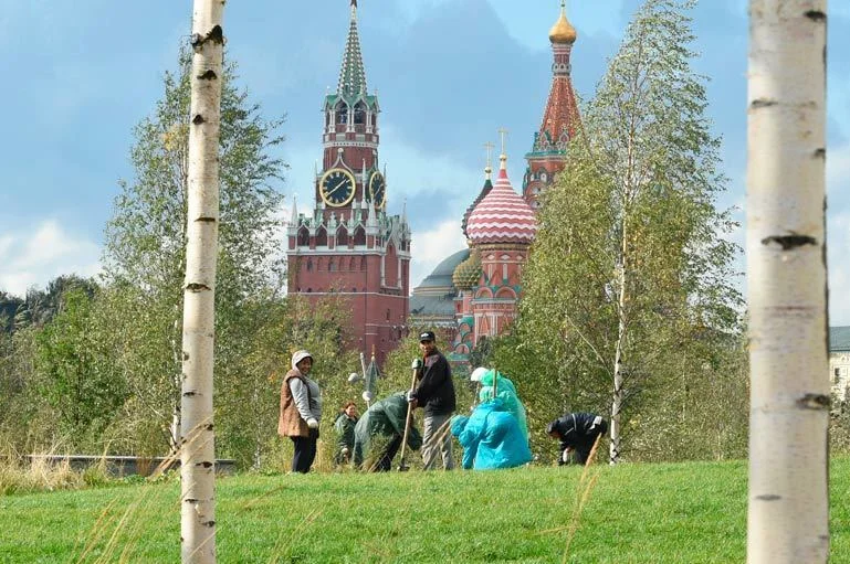 Посетители парка «Зарядье» вытоптали растения и газоны, особенно в зоне северного ландшафта