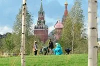 Посетители парка «Зарядье» вытоптали растения и газоны, особенно в зоне северного ландшафта