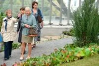 Некоторые растения гости выкапывают, после чего «прячут их в свои сумки и уходят», рассказал журналистам начальник отдела по садово-парковой и природоохранной работе парка «Зарядье» Игорь Сафиуллин. Зелень еще не прижилась, поскольку её только недавно высадили. Это осока и занесенная в Красную книгу Москвы калужница болотная.