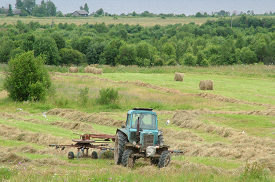 В Совфеде поддержали предложения тульских аграриев по развитию регионального АПК