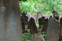 Калашников призвал скорее урегулировать вопрос посещения могил предков жителями Грузии и Абхазии