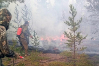 МЧС увеличит группировку сил для тушения пожаров в Приморье