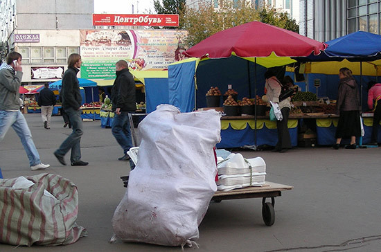 В единый реестр проверок попадёт информация о проверках органов МСУ