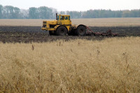 Российское село: как сохранить плодородие почвы и обеспечить прирост сельхозпроизводства?