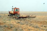 Кашин: восстановление заброшенных сельхозземель пополнит бюджет на триллионы рублей