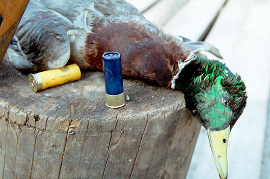 Спортсменам и охотникам разрешат самостоятельно снаряжать патроны к нарезному оружию