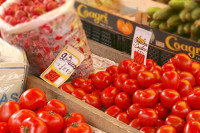 Россия с 1 ноября возобновит поставки томатов из Турции по квотам