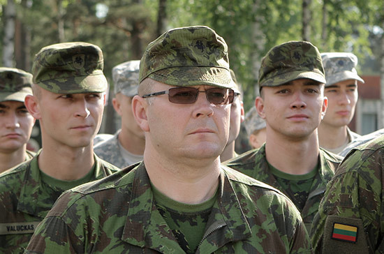Министр обороны Литвы призвал укреплять оборону стран Балтии