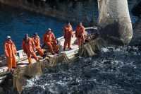 Власти Сахалина выступают за ужесточение мер по регулированию промысла тихоокеанских лососей
