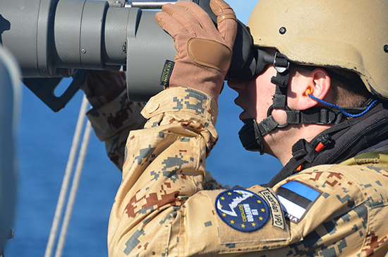 В Партии реформ Эстонии возмущены снижением расходов на оборону