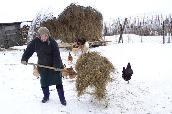 В Ростовской области ввели карантин по птичьему гриппу
