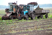 В Госдуме создадут рабочую группу по проблемам сельскохозяйственных земель