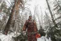 В Новосибирской области лесной патруль дежурит круглосуточно