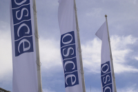 ОБСЕ планирует направить на выборы президента России 500 наблюдателей